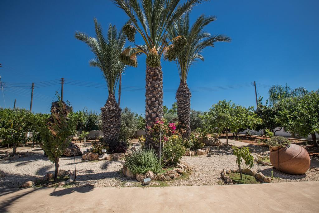 Papas Family Villa Paralimni Exteriér fotografie